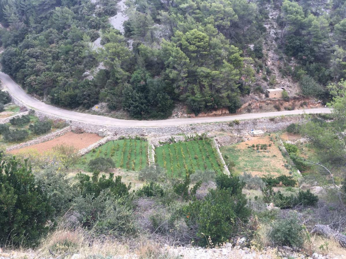 Paradise Apartments - Robinson Getaway Gdinj Εξωτερικό φωτογραφία